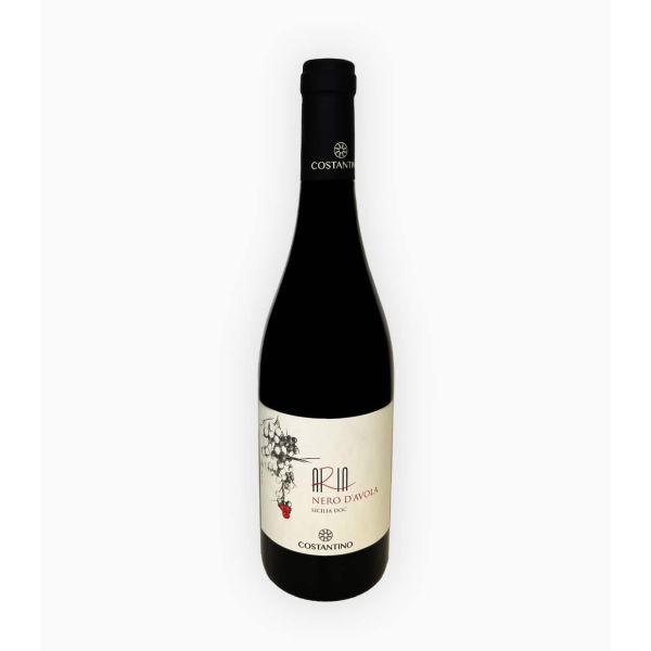 VR NERO AVOLA DOC COSTANTINO 13% 750MLX6
