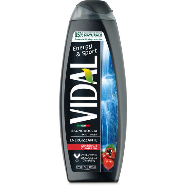 VIDAL BAGNO ENERGY SPORT 500MLX12